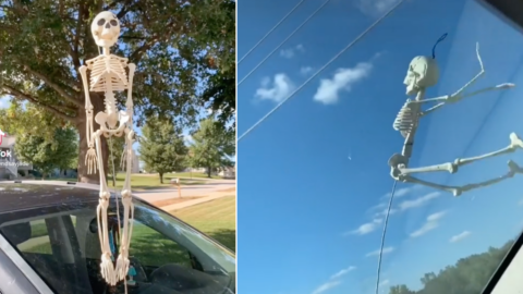 People Are Buying Skeletons and Taping Them To Their Car Antennas For Halloween