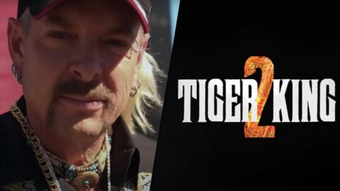 Netflix Just Dropped The Trailer For ‘Tiger King’ Season 2 and You’re In For Another Wild Ride