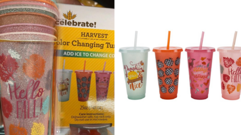 Walmart Is Selling $5 Color Changing Fall Tumblers And I Have To Get Them