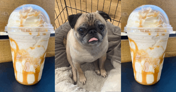You Can Get A Bones Day Frappuccino From Starbucks To Celebrate Having A Great Day