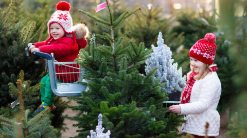 Here’s How You Can Make Your Christmas Tree Last All Holiday Season Long 