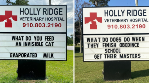 This Vet Hospital Brings The Best Dad Jokes Every Single Week So Get Ready To Chuckle