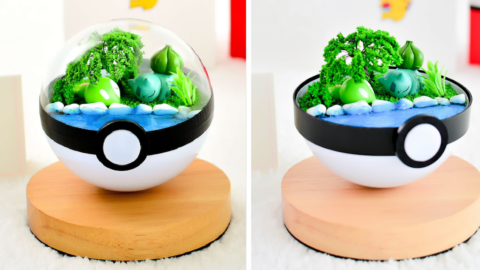 Calling All Trainers, This Bulbasaur Pokeball Terrarium Is The Perfect Catch This Holiday Season