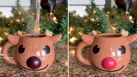 This Rudolph Mug Has a Color Changing Nose That Shines Bright Red