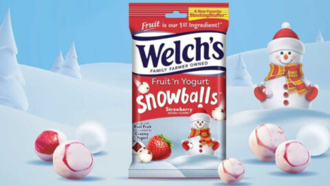 Welch’s  Strawberry Snowballs Are The Fruit and Yogurt Snack That’s Been Missing From Your Life