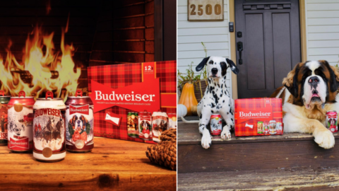 Budweiser Just Released Their Holiday Decorated Cans and One Has An Adorable Pup On It