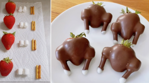Here’s How You Can Make Chocolate Turkeys Out of Strawberries For The Cutest Thanksgiving Dessert