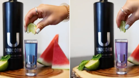 Color Changing Unicorn Vodka Exists and It Is Pure Magic