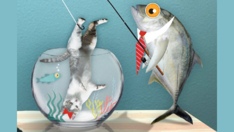 Apparently ‘Fishcatting’ Is A Thing. Here’s What It Means.