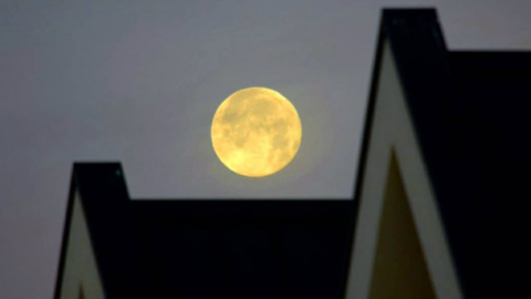 There Will Be a Lunar Eclipse and a Full Beaver Moon This Month. Here’s How To Watch It.