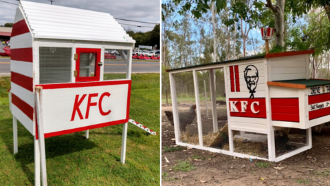 People Are Building Chicken Coops That Look Exactly Like KFC Restaurants