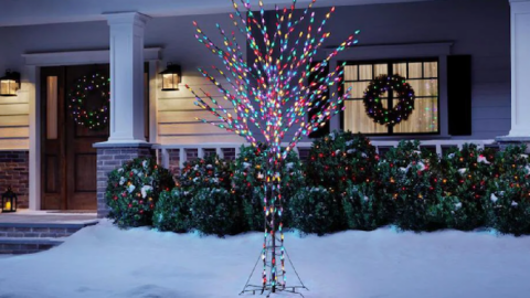 Home Depot Is Selling A Bare Branch Tree With Multi-Color Lights You Can Put In Your Yard For The Holidays