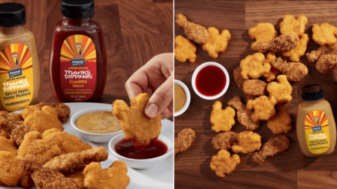 Perdue Is Releasing “Thanks-Dipping” Sauces For Dunking Your Turkey Shaped Chicken Nuggets