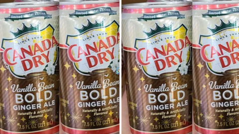 Canada Dry Now Has a Bold Vanilla Bean Ginger Ale Flavor That You Can Drink for the Holiday Season