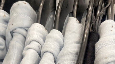 An H&M Store Was Shut Down In NYC After A Picture Of Bugs On Clothing Was Released