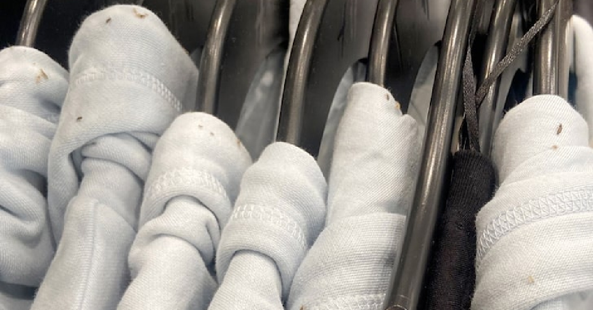 An H&M Store Was Shut Down In NYC After A Picture Of Bugs On Clothing Was Released