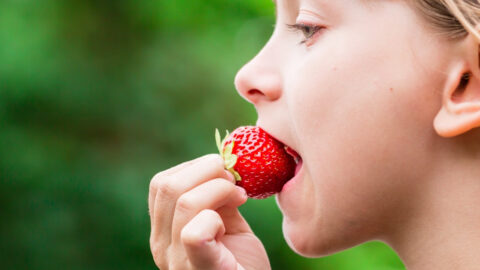 Apparently You’ve Been Eating Strawberries Wrong Your Entire Life and I’m Absolutely Stunned