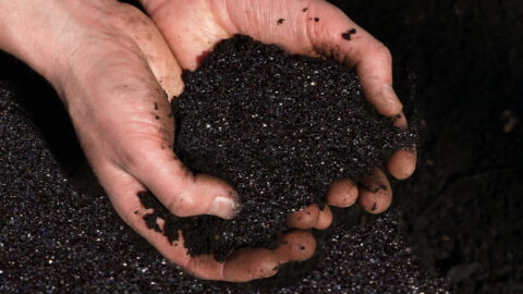 ‘Magic Dirt’ Was The Weirdest Social Media Trend And One of The Most Dangerous