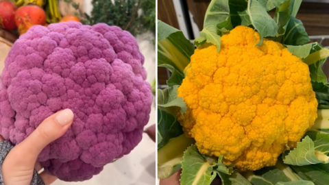 I Just Found Out That Colored Cauliflower Exists and My Mind Is Blown