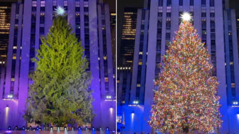 The Rockefeller Christmas Tree Has Been Lit and It’s Stunning To See