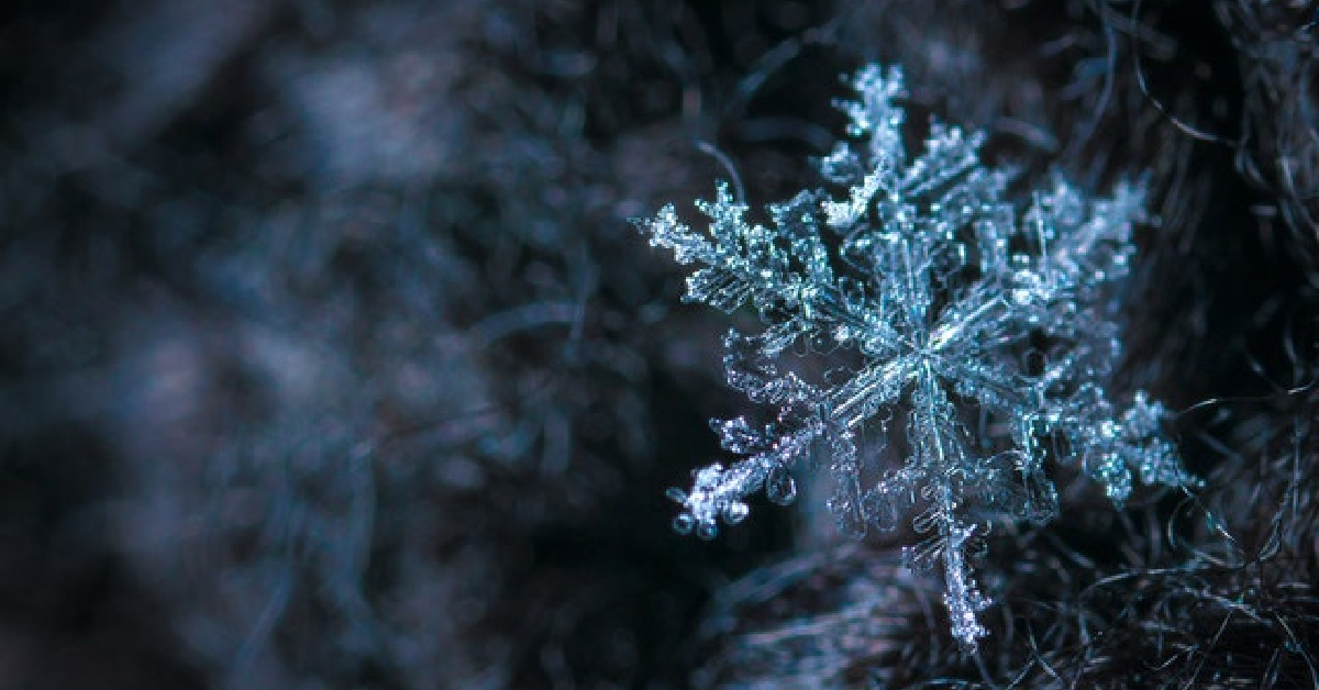 People Are Just Finding Out That Snowflakes Look Exactly How You Think and They Are Losing Their Minds