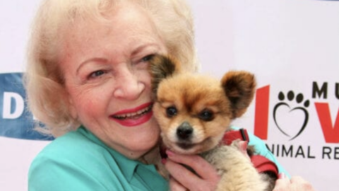 Betty White’s Cause of Death Has Been Released