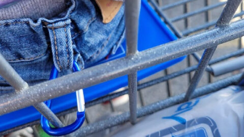 Parents Are Strapping Their Kids To Shopping Carts and It’s Pure Genius