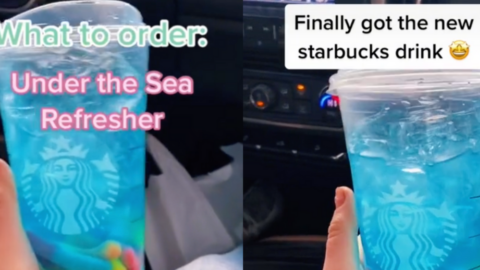 Is The Viral “Under the Sea Refresher” From Starbucks A Real Drink You Can Order?