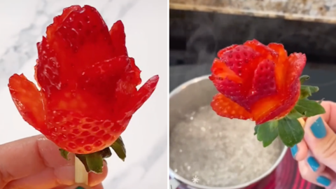 Strawberry Roses Bring Pure Romance To The Table