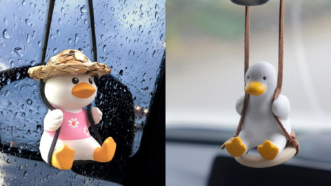 These Adorable Swinging Ducks Bring ‘Jeep Ducking’ To New Heights and I Need One