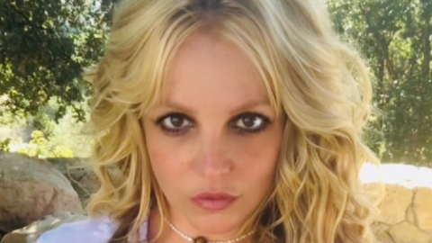 Britney Spears is Pregnant!