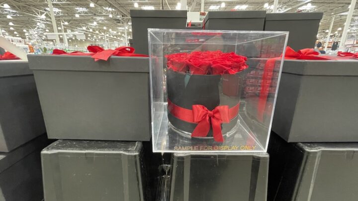 Costco Is Selling Boxes of Forever Roses So You Can Profess Your Love ...