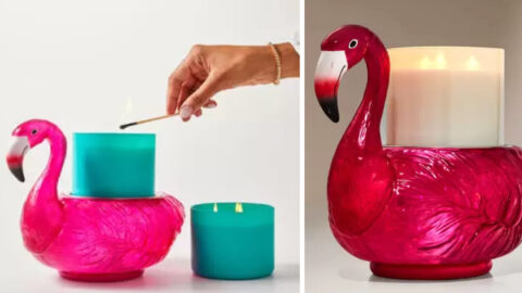 Bath and Body Works Latest Viral Product is this Flamingo Candle Holder, and it’s Got Summer Written all over it