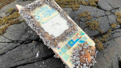 This Modern Day ‘Message In A Bottle’ Made It From New Hampshire To Norway