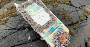 This Modern Day ‘Message In A Bottle’ Made It From New Hampshire To Norway