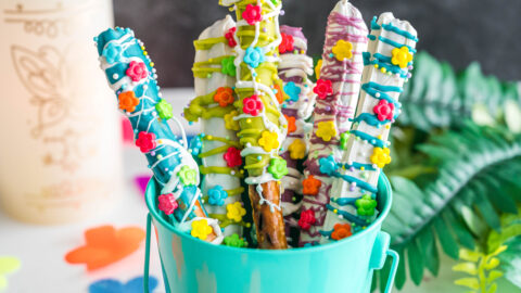 Encanto Chocolate Dipped Pretzel Rods