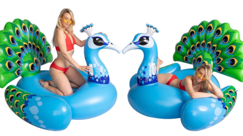 You Can Get A Giant Inflatable Peacock Pool Float So You Can Relax In Style This Summer