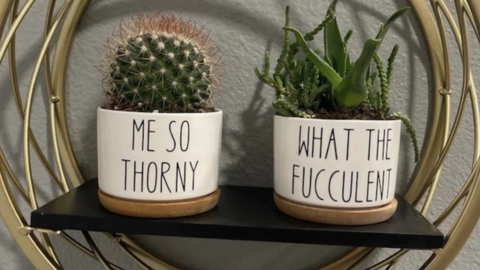 These Succulent Pots Have Funny Sayings On Them And They Are Here to Make Your Day