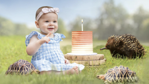 Bindi Irwin Shares Cutest Picture of Daughter as She Prepares to Celebrate Her First Birthday