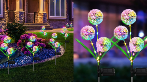 You Can Get Solar Powered Dandelion Lights And I Need Them Now