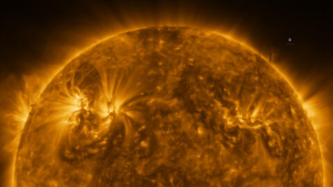 A Spacecraft Skimmed By The Sun And Got The Most Amazing Photos Ever