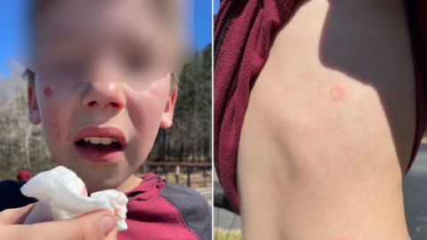 This Dangerous New TikTok Trend Could Get You Arrested