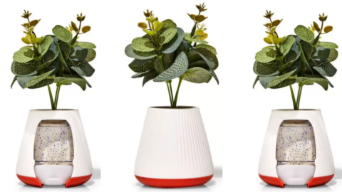 This Bath & Body Works PocketBac Holder Looks Just Like A Houseplant For Your Desk