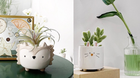 These Adorable Bunny And Hedgehog Ceramic Planters Are Exactly What’s Missing From Your Life