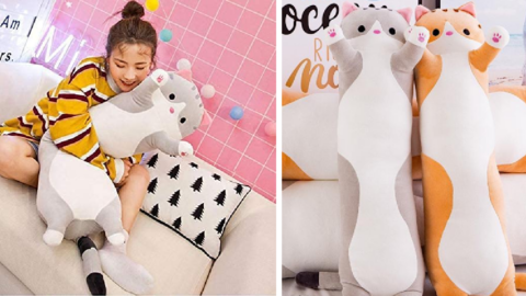 This Cat Body Pillow Is Here To Make Bedtime So Much Sweeter