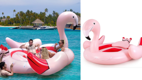 This Flamingo Floating Island Is Big Enough For The Whole Family To Spend A Day On At The Lake
