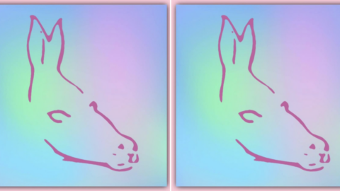 Nobody Can Figure Out The Answer To This Optical Illusion