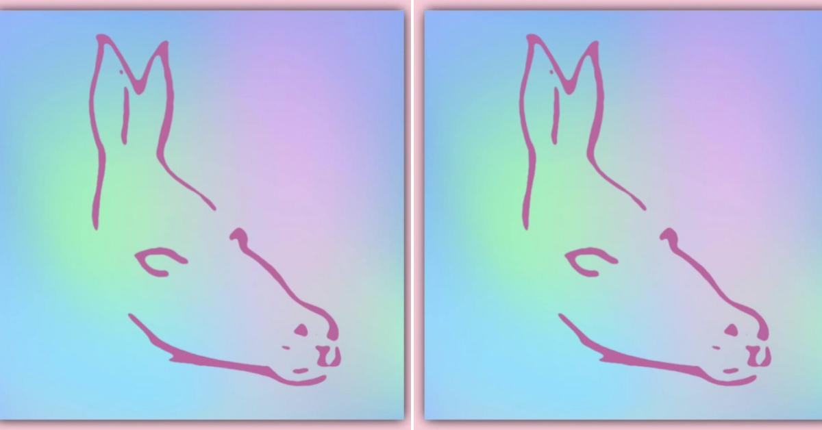 Nobody Can Figure Out The Answer To This Optical Illusion