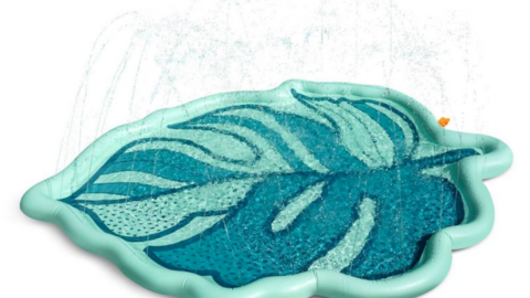 Target Releases A Palm Leaf Splash Pad Sprinkler to Cool Down with the Kids this Summer