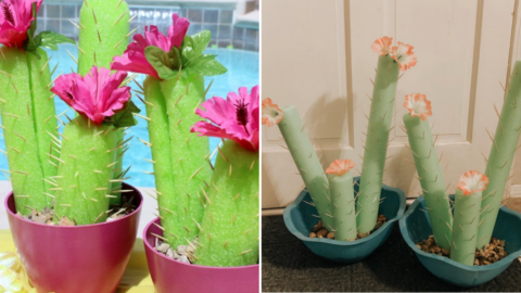 People Are Making Cactuses Out of Pool Noodles. Here’s How You Can Too.